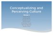 Conceptualizing and Perceiving Culture