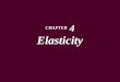 CHAPTER  4 Elasticity