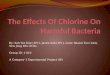 The Effects Of Chlorine On Harmful Bacteria