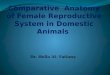 Comparative  Anatomy of Female Reproductive System in Domestic Animals
