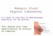 Mammary Gland Digital Laboratory