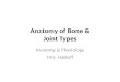 Anatomy of Bone & Joint Types