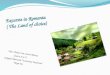 Excursie in  Romania ( The Land of choice)