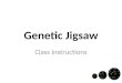 Genetic Jigsaw