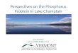 Perspectives on the Phosphorus Problem in Lake Champlain