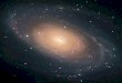 Galaxies Galaxies M81