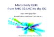 Many body QCD:  from RHIC (& LHC) to the EIC