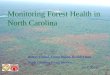 Monitoring Forest Health in North Carolina