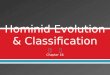 Hominid Evolution & Classification