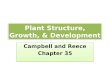 Plant Structure, Growth, & Development