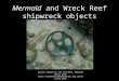 M ermaid  and Wreck  R eef shipwreck objects