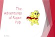The  Adventures of  Super  Pup