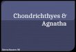Chondrichthyes  &  Agnatha