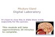Pituitary Gland Digital Laboratory