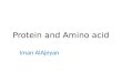 Protein and Amino  acid