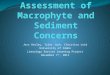 Assessment of  Macrophyte  and Sediment Concerns