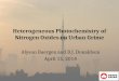 Heterogeneous Photochemistry of Nitrogen Oxides on Urban Grime
