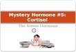 Mystery Hormone #5: Cortisol