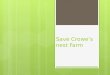 Save Crowe’s nest Farm