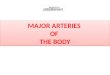 Major arteries  of  the body