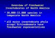 Overview of Freshwater Invertebrates of North America