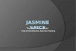 Jasmine Spice