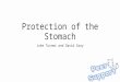 Protection of the Stomach