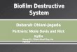 Biofilm Destructive System