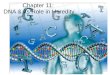 Chapter 11:  DNA & Its Role in Heredity