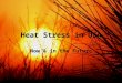 Heat Stress in USA