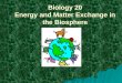 Biology 20 Energy and Matter Exchange in the Biosphere
