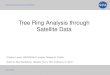 Tree Ring Analysis through Satellite Data
