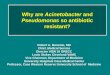Why are  Acinetobacter  and  Pseudomonas  so antibiotic resistant?