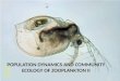 POPULATION DYNAMICS AND COMMUNITY ECOLOGY OF  ZOOPLANKTON II