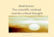Bold fusion :  The scientific method  marries critical thought