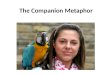 The  Companion Metaphor