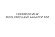 HONORS REVIEW FROG, PERCH AND AMNIOTIC EGG