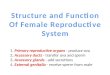 Structure and Function Of  Female  Reproductive System