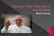 Quotes from The Joy of the Gospel