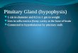 Pituitary Gland ( hypophysis )