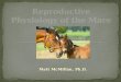 Reproductive  Physiology of the Mare