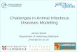 Challenges in Animal Infectious Diseases Modelling