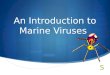 An Introduction to Marine Viruses