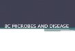 8C MICROBES AND DISEASE