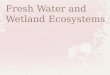 Fresh Water and Wetland Ecosystems