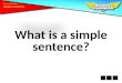 What is a simple sentence?