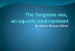 The Sargasso  sea,  an aquatic environment