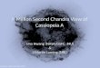 A Million Second Chandra View of Cassiopeia A