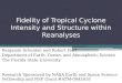 Fidelity of Tropical Cyclone Intensity and Structure within Reanalyses