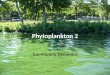 Phytoplankton 2